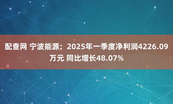 配查网 宁波能源：2025年一季度净利润4226.09万元 同比增长48.07%