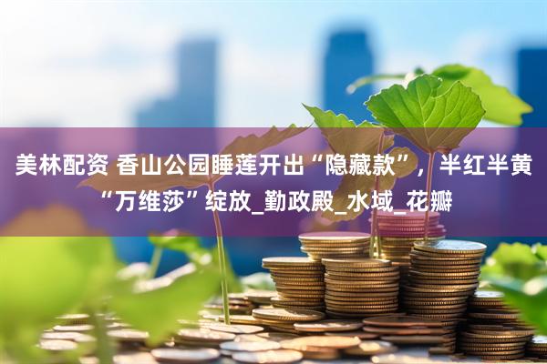 美林配资 香山公园睡莲开出“隐藏款”，半红半黄“万维莎”绽放_勤政殿_水域_花瓣