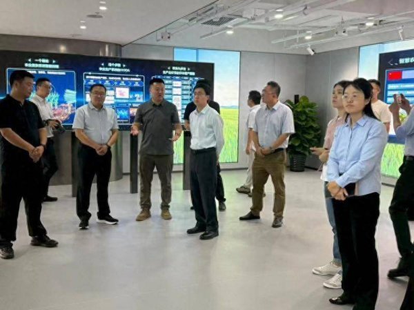 658配资 农发行北分贷款净增339亿元 多项经营数据创历史新高｜北京经济新航标